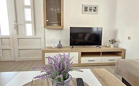 Apartment Vip